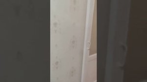 ремонт и перепланировка однушки хрущёвки