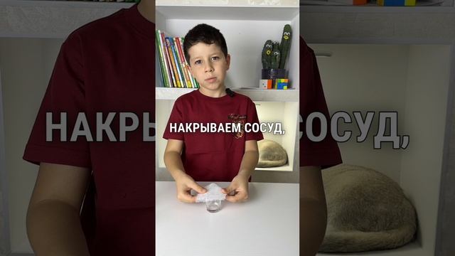 Как удержать воду в перевернутом стакане? #эксперименты #экспериментыдлядетей