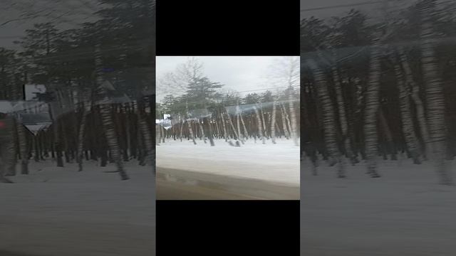 ЭКСКУРСИЯ ДОРОГА ЖИЗНИ ПО ДОРОГЕ ЖИЗНИ БЛОКАДА ЛЕНИНГРАДА ВОВ ВЕЛИКАЯ ОТЕЧЕСТВЕННАЯ ЛАДОГА ЛЕНИНГРАД