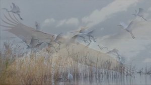 'КЛИЧ ЖУРАВЛЯ'_авторская музыка