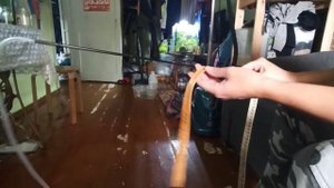 Мини-сифон своими руками подойдёт для аквариума, малявочника, нерестовика, травника или отсадника.