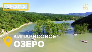 Кипарисовое озеро Сукко Анапа озеро деревья в воде Черное море #дикийдикийЮг #mw_i