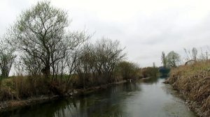 Голавль и форель, микро речки