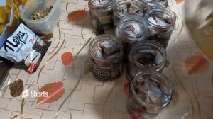 Рыбные консервы в масле из речной рыбы  Весь процесс приготовления
