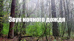 Шум дождя для сна. Ночной дождь. Звуки природы от стресса, для сна
