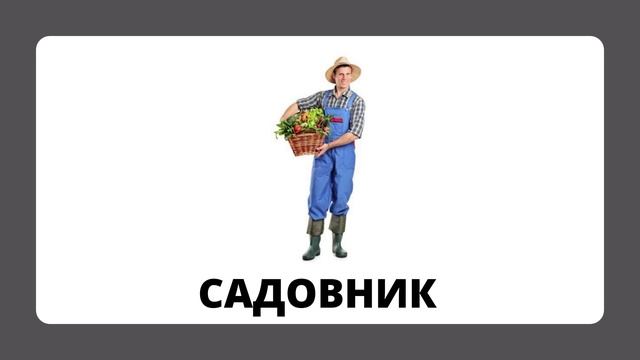 Профессии.mp4