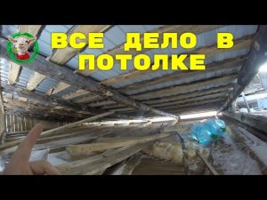 Правильный потолок в нашем козлятнике