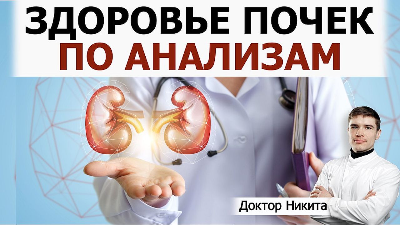 Здоровье почек по анализам. Что означают анализы креатинин, мочевина, низкая скорость СКФ