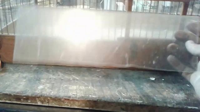 Мелкий ремонт очень необычной клетки смотреть онлайн