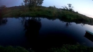Рыбалка на поплавок  Линь Крупный Окунь