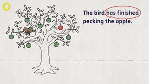 What are the present perfect and past perfect tenses? | Oxford Owl