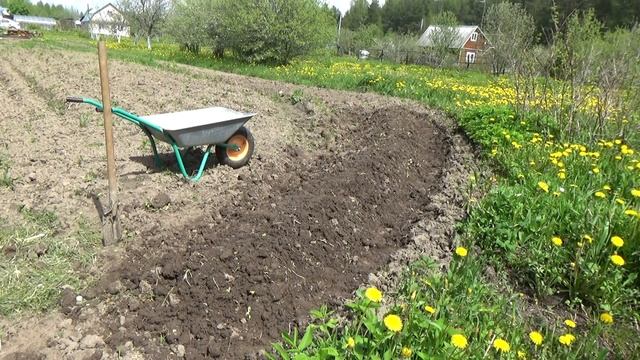 НА ДАЧЕ. НАКОНЕЦ-ТО ТЕПЛО.САЖАЮ ТЫКВУ. ПОКАЗЫВАЮ, КАК УКРЫЛА ТЕПЛИЧКУ. смотреть онлайн