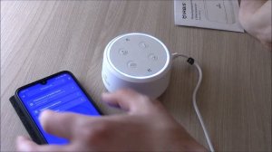 Умная колонка Irbis A01 с Яндекс Алисой