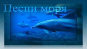 1 Hr - Пение Дельфинов и Звуки Океана / Dolphins and Ocean Sounds