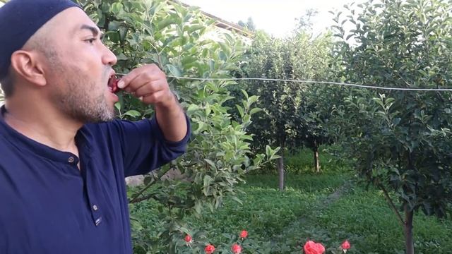долма ассорти В КАЗАНЕ НА КОСТРЕ