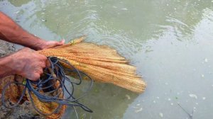 Cast net fishing - Traditional cast net fishing in village with beautiful natural (Part-118)