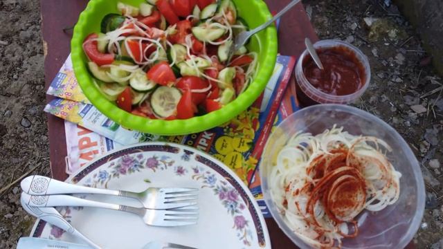 ПИКНИК С СОТРУДНИКАМИ КГБ?