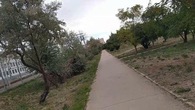 5№587 устала бегать по поликлиникам _ мурлык футболист))) от.09.10.2022г.