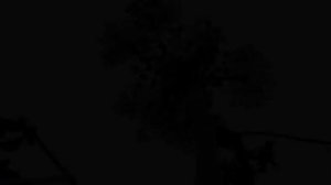 Ildar Abdrazakov, Robert Yuldashev,  Bashkir song "Azamat"