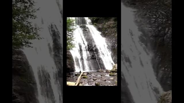 Звук водопада Пение птиц в лесу для сна и расслабления