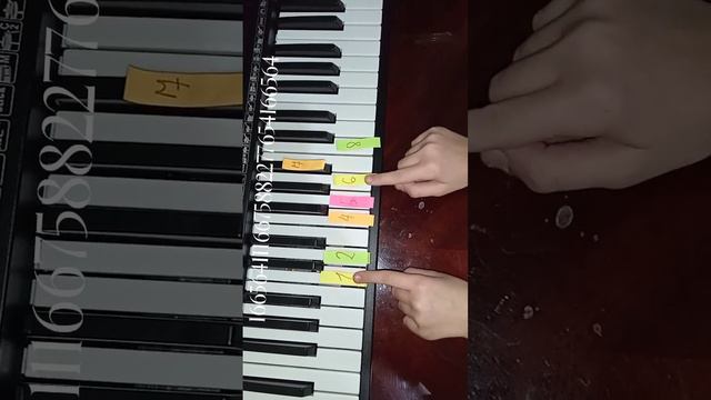 туториал как сыграть песню в лесу родилась ёлочка на пианино 🎹