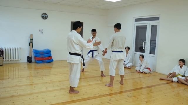 Кумитэ-ката. Программа на экзамен. Своевременность защитных действий смотреть онлайн