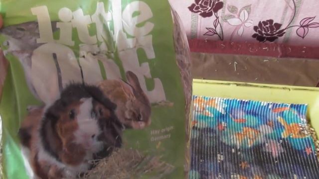 КАЛЕНДУЛА ДЛЯ ПУШИСТИКОВ /БЕРЕГИТЕ ЗУБЫ смотреть онлайн