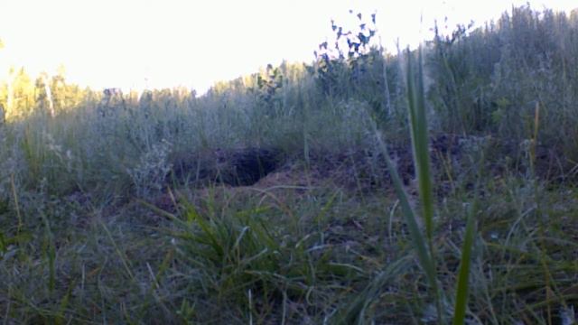 Суслик смотреть онлайн