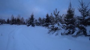 Спортивный снегоход за 100 т.р. или обзор снегохода Рысь 121 спорт