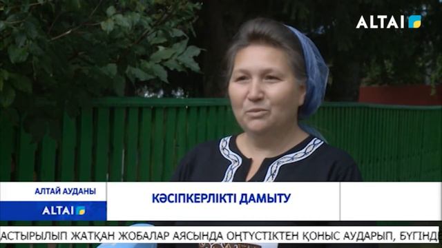 Кәсіпкерлікті дамыту смотреть онлайн