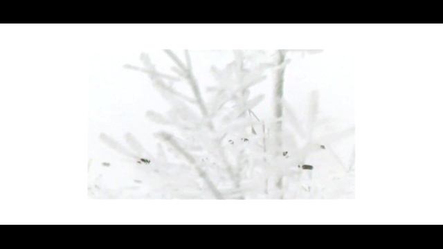 ПОЧЕМУ НУЖНО ЗАКАЗЫВАТЬ ВИДЕО У НАС?