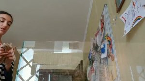 Запуск Травника . Мой Опыт