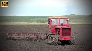 Трактор Т-4А Алтай с двумя культиваторами КПС-4 - ностальгия по советским временам 2020