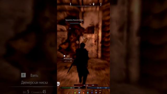 Всегда будь начеку. Фул фокус  Skyrim SE RfaD by Chicken              skyrim tesv rfad gaming