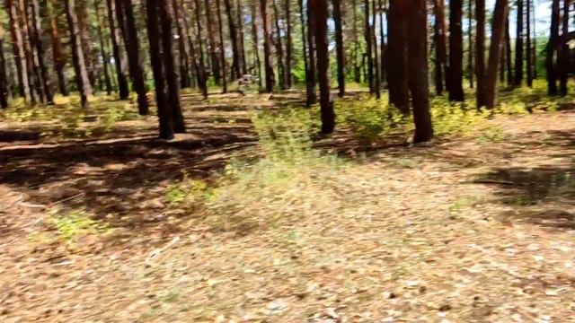 Велопрогулка смотреть онлайн