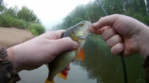 Рыбалка на небольшой речке 03.07.2022