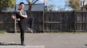 Shaolin Kung Fu Wushu Basic Form Training For Beginners