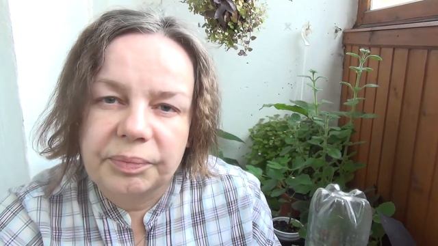 Аккуратная замена почвы в горшке