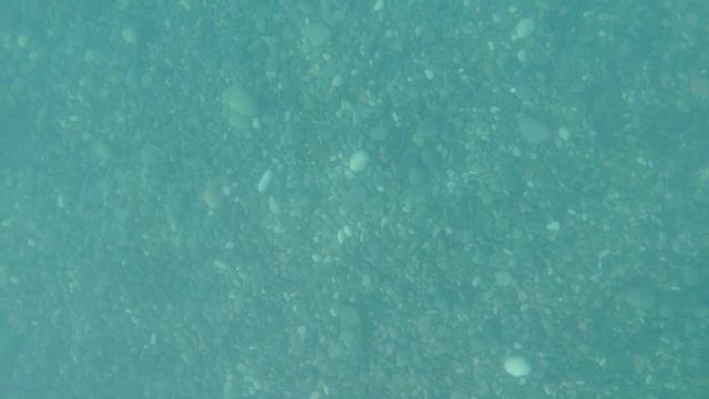 08.08.23 Первый раз снимаем под водой