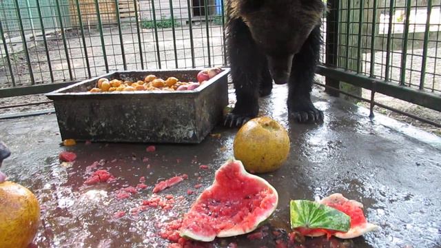 Умка, Маша и Даша смотреть онлайн