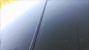 Рыбалка на Дону , в районе Новогремячья, Воронежская область, 13.07.2021