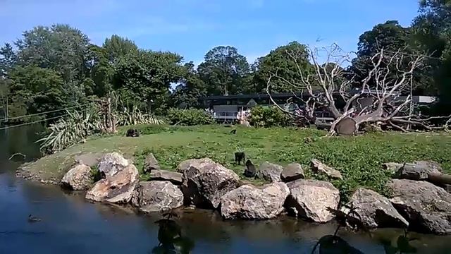 Учу английский за границей, Ирландия, №7 смотреть онлайн