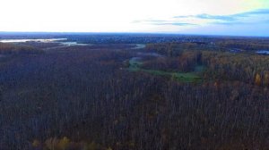 Дорога  в Каргасок, видео из моей поездки  часть 1
