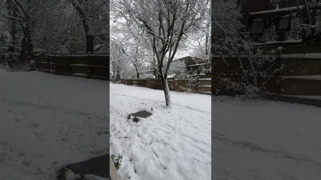 Its a Tropical Jungle in here and Christmas outside смотреть онлайн