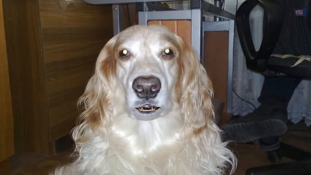 Топ – докучная сказка смотреть онлайн