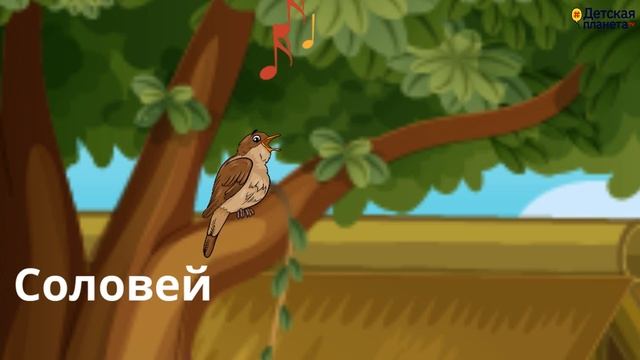 Загадки про ПТИЦ