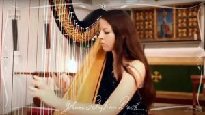 Иоганн Себастьян Бах. Токката и фуга ре-минор (D-moll), BWV 565.  Исполняет Amy Turk (арфа).