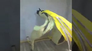 DIY: Инструкция, как сделать черную дыру, не выходя из дома