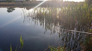 рыбалка на карася.