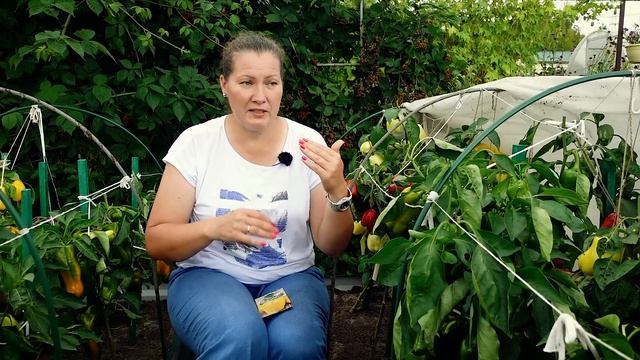 БУДУ САЖАТЬ ИХ ВСЕГДА | Обзор Урожая Перца смотреть онлайн